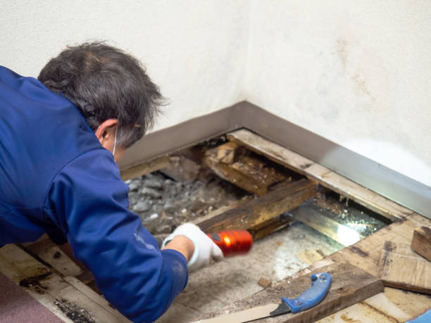 Best HVAC Mold Remediation in Montclair State University, NJ