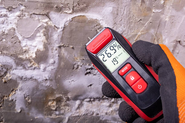 Best Mold Remediation for Specific Building Types in Montclair State University, NJ
